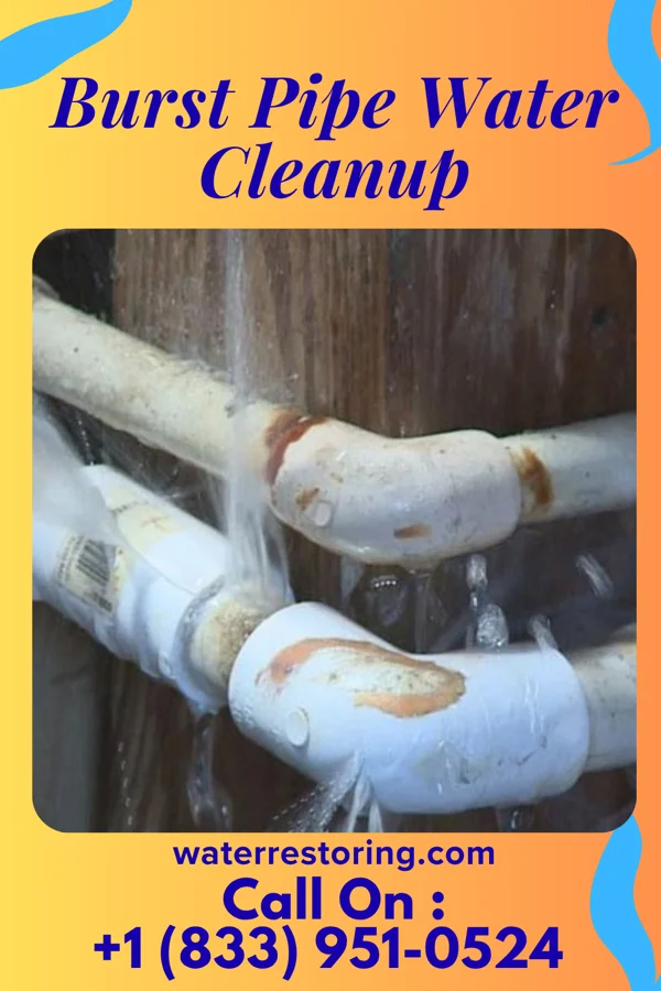 Burst Pipe Water Cleanup in Noyack, NY