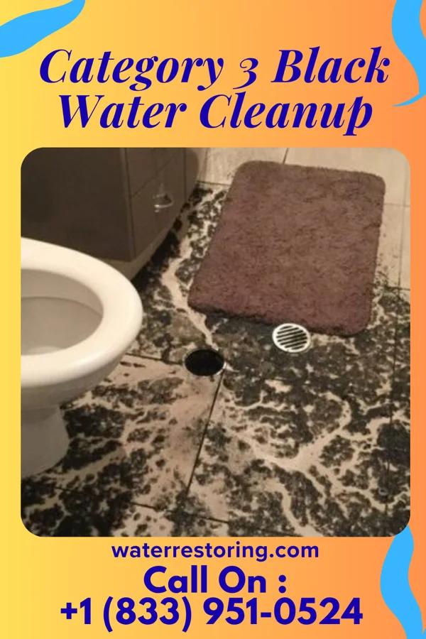Category 3 Black Water Cleanup in Noyack, NY