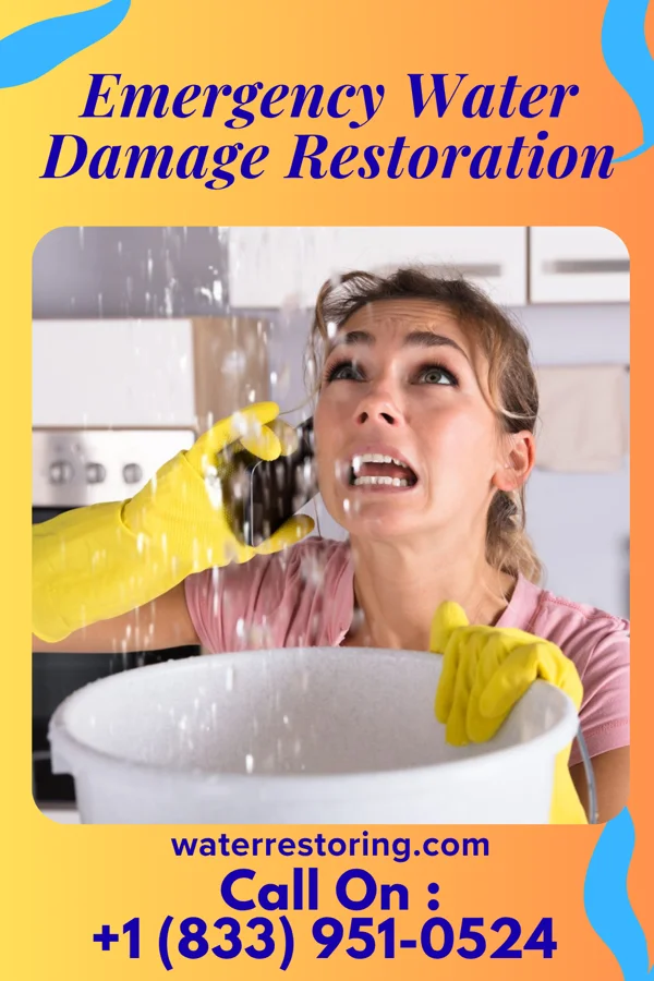 Emergency Water Damage Restoration in Noyack, NY