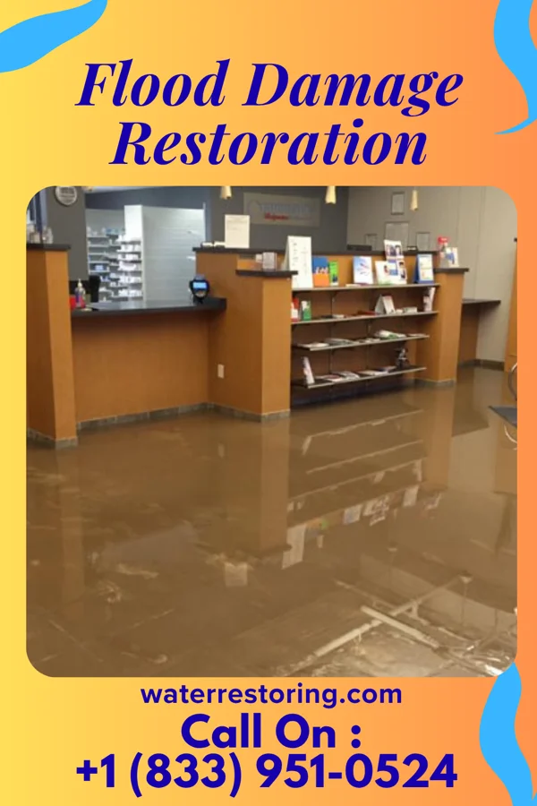 Flood Damage Restoration in Noyack, NY