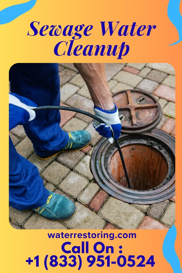 Sewage Water Cleanup in Noyack, NY